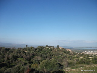 tapiccola-13-01-2013 09-11-54